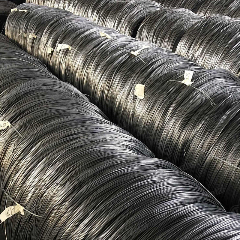 SAE 1008 Steel Wire Rod