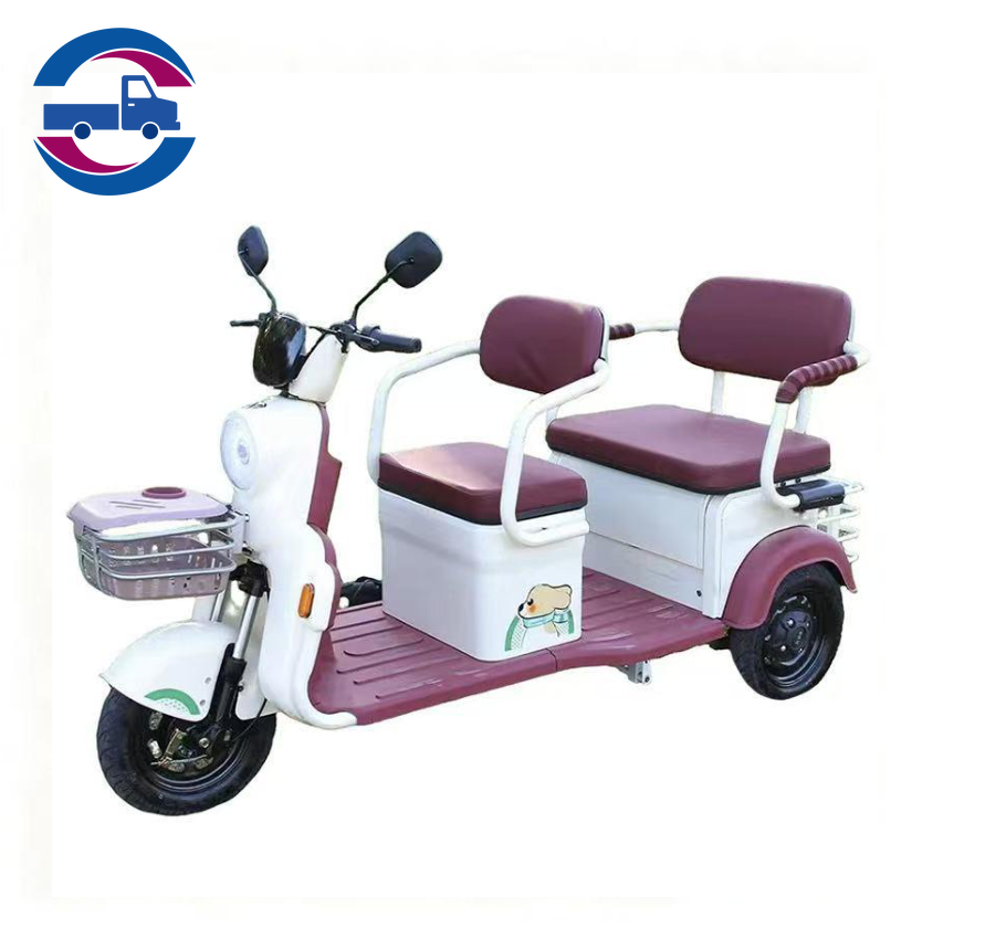 Cargo tricycle--C19