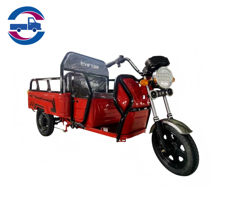 Cargo tricycle--AT1000DZH