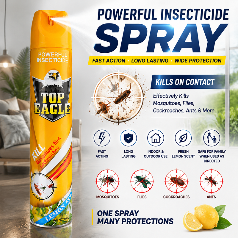 Household air freshener