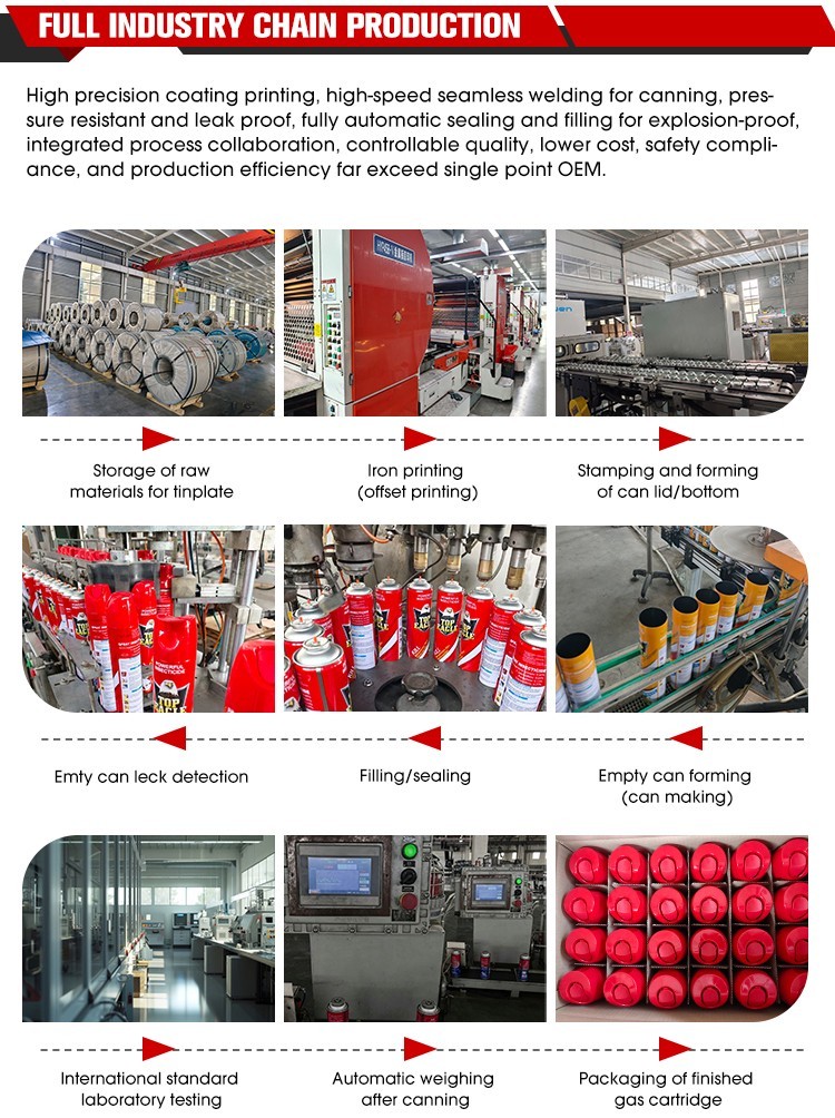 Insecticide Aerosol Insecticide Aerosol