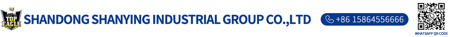 logo1