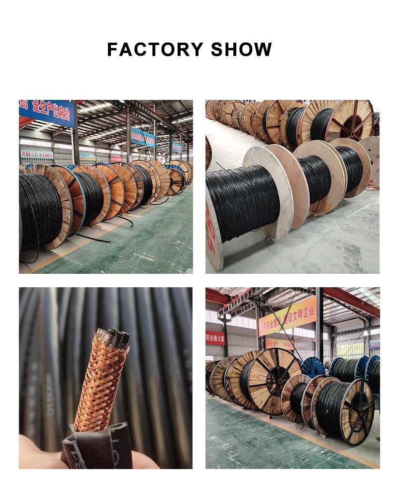 FACTORY SHOW1 BV BVR Copper Core PVC Insulated Electrical Wire