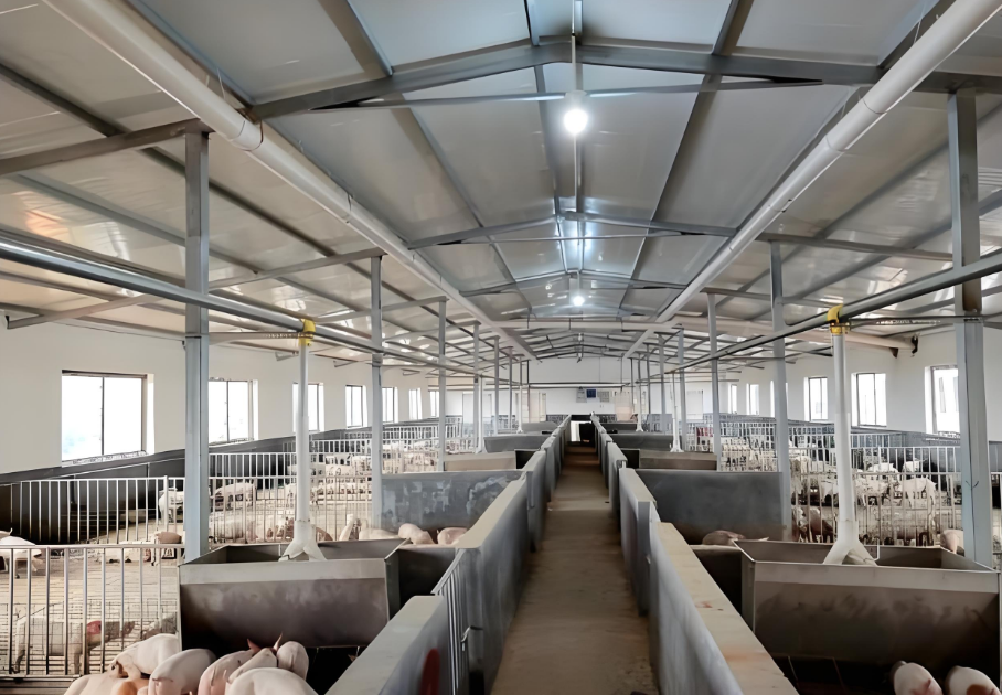 Prefab Livestock Buildings Corrosion-resistant Durable Steel Construction for Modern Cattle, Sheep, and Pig Farms