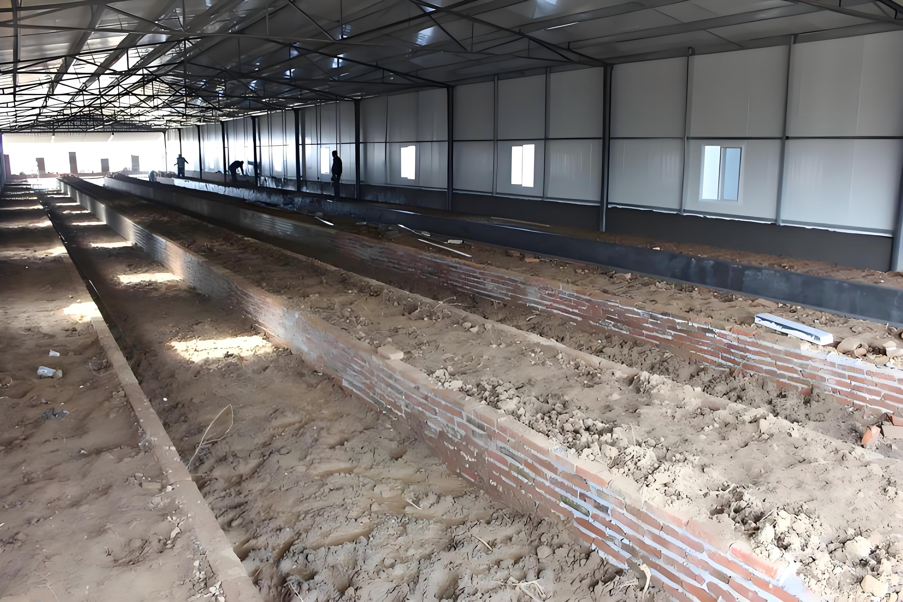 Chicken poultry Egg-laying chicken breeding factory building