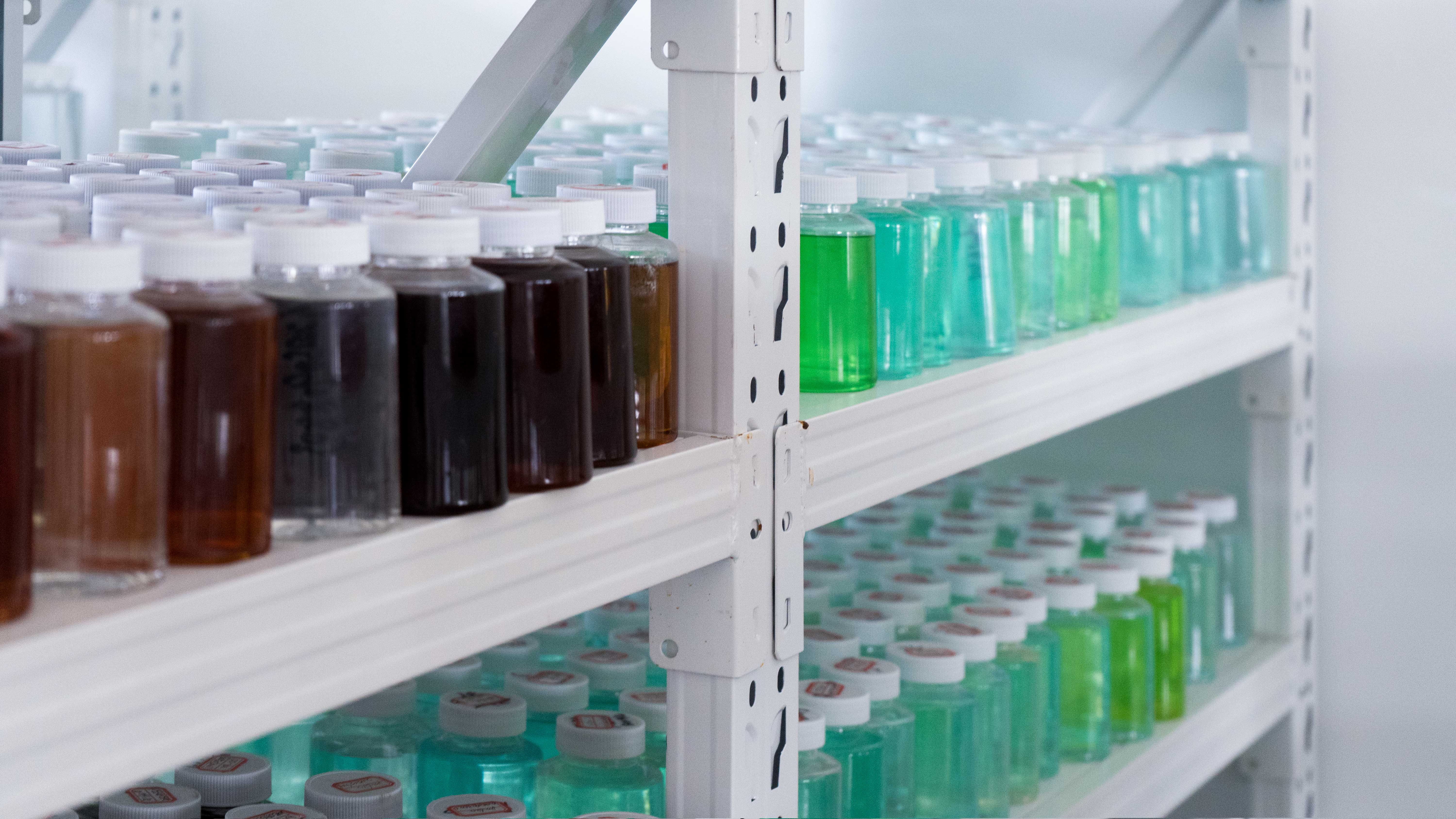 Prio, the manufacturer of bactericides and algaecides: Leading the high-quality development of the water treatment industry through technological innovation.