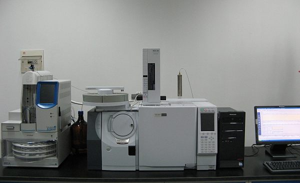 Gas Chromatography Single Quadrupole Mass Spectrometer