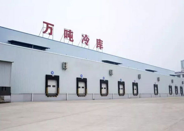 Um conjunto gerador Yuchai de 1200KW para um projeto de câmara frigorífica de grande escala