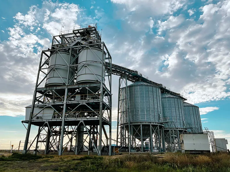 Silo de acero para arroz y arroz con cáscara