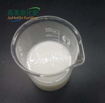 Oxalic Acid