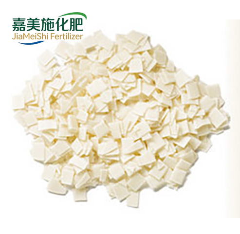 Sorbitan Fatty Acid Esters