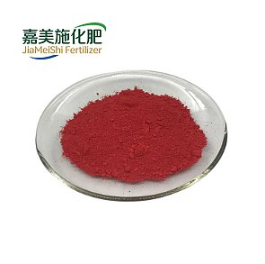 Grape Seed Extract