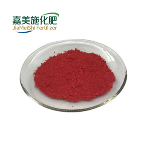 Grape Seed Extract