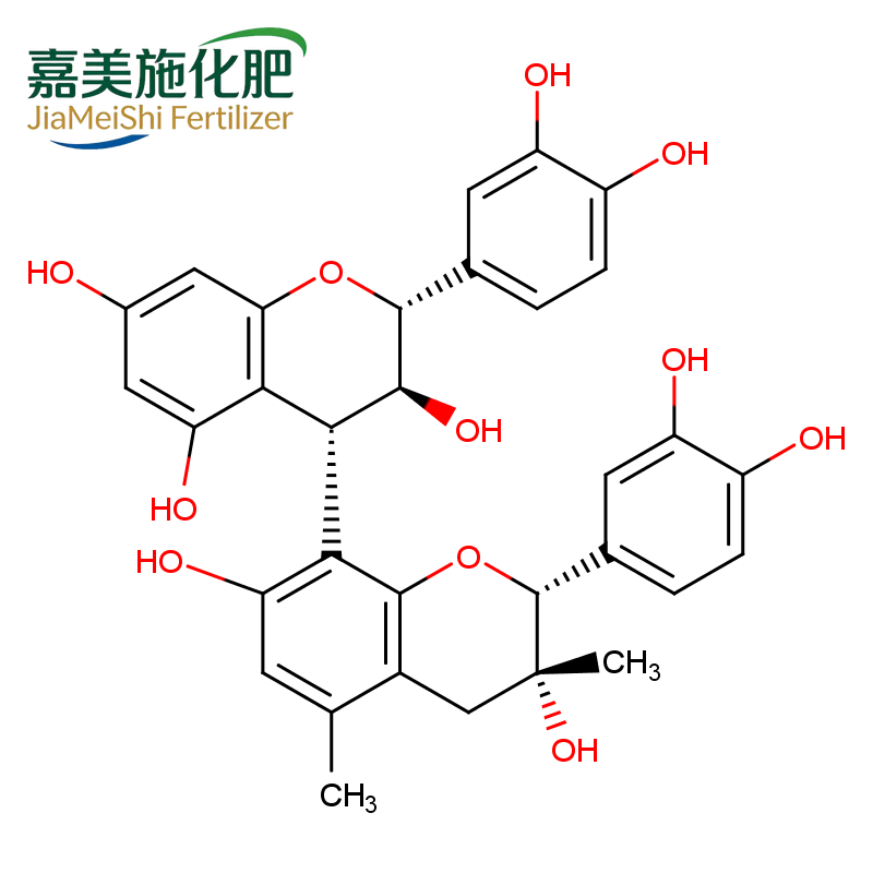 Grape Seed Extract
