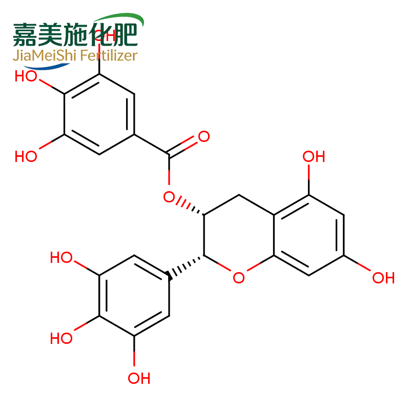 (-)-Epigallocatechin gallate