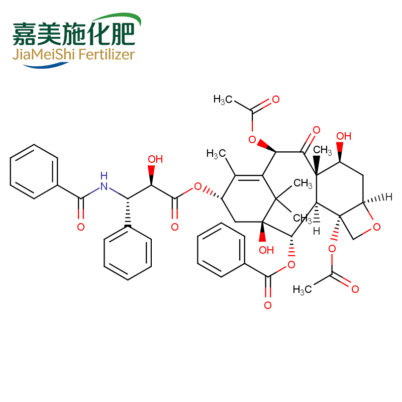 Paclitaxel