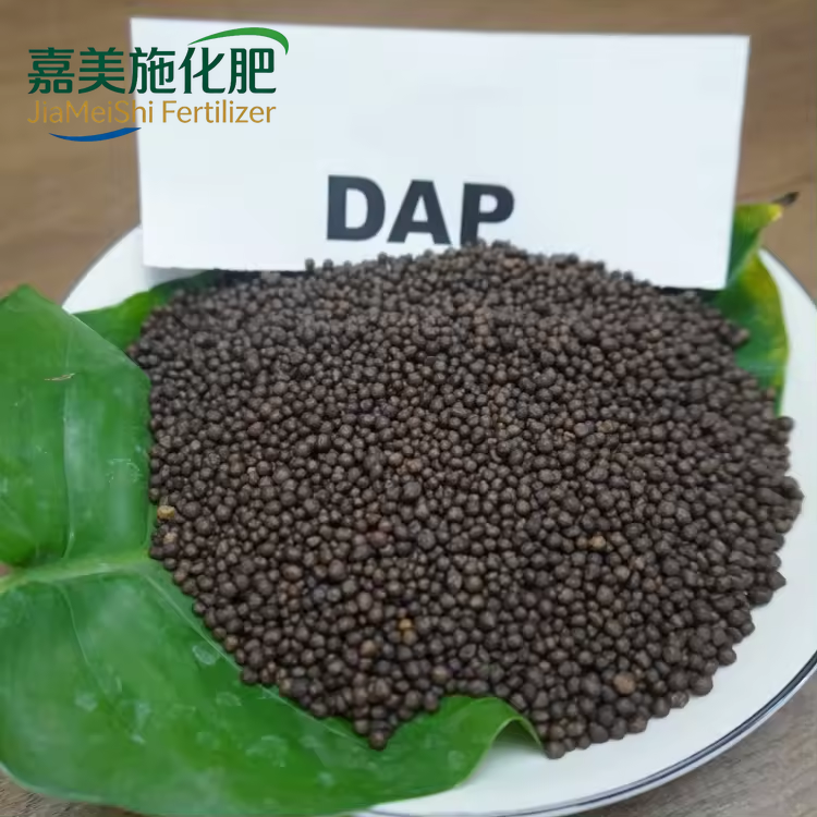 DAP