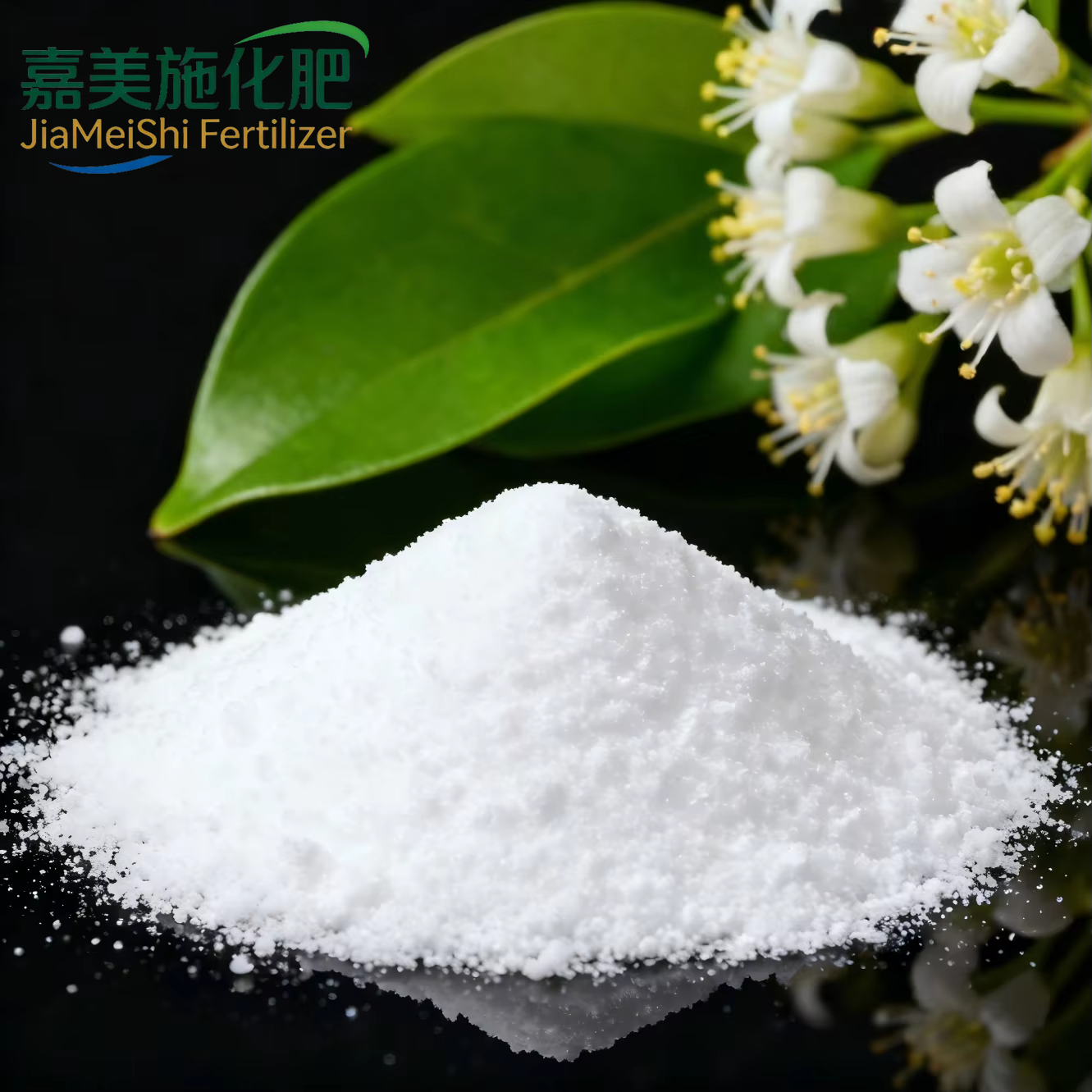 Magnesium sulfate monohydrate