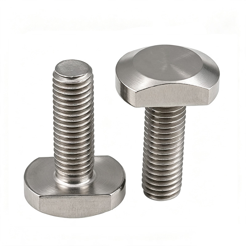 stainless steel T Bolts