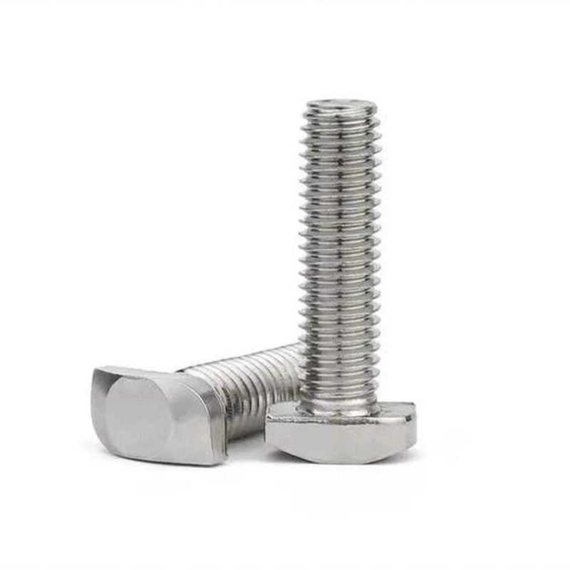 stainless steel T Bolts