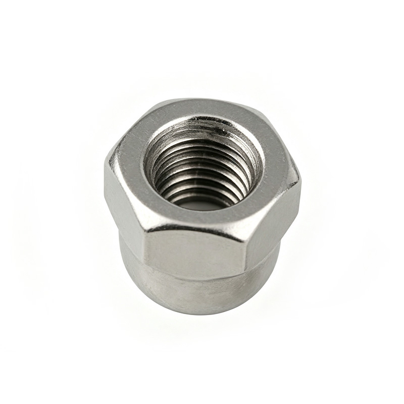 stainless steel Hexagonal cap nut