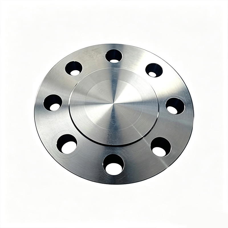Stainless steel blind flange