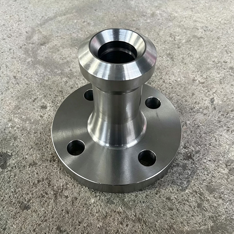Stainless steel branch flange