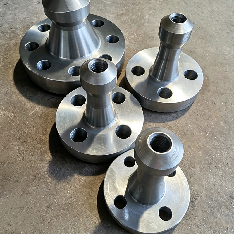 Stainless steel branch flange