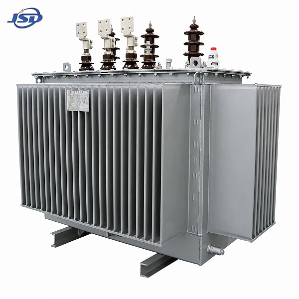 Transformateur de distribution de puissance immergé dans l’huile 11kV/0.4kV Transformateur de distribution de puissance immergé dans l’huile 11kV/0.4kV