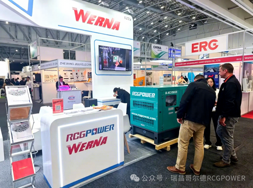 斗志昂扬，RCGPOWER携手WERNA亮相 2026 南非电力展