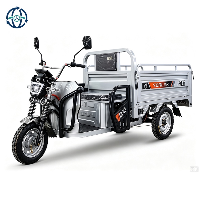1200W Motor48V Electric Cargo Tricycle Electric Loader Electric Truck