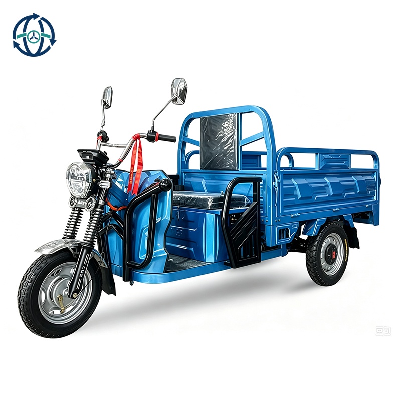 Ready to Ship Farm Cargo Tricycle Large Battery Cargo Transport