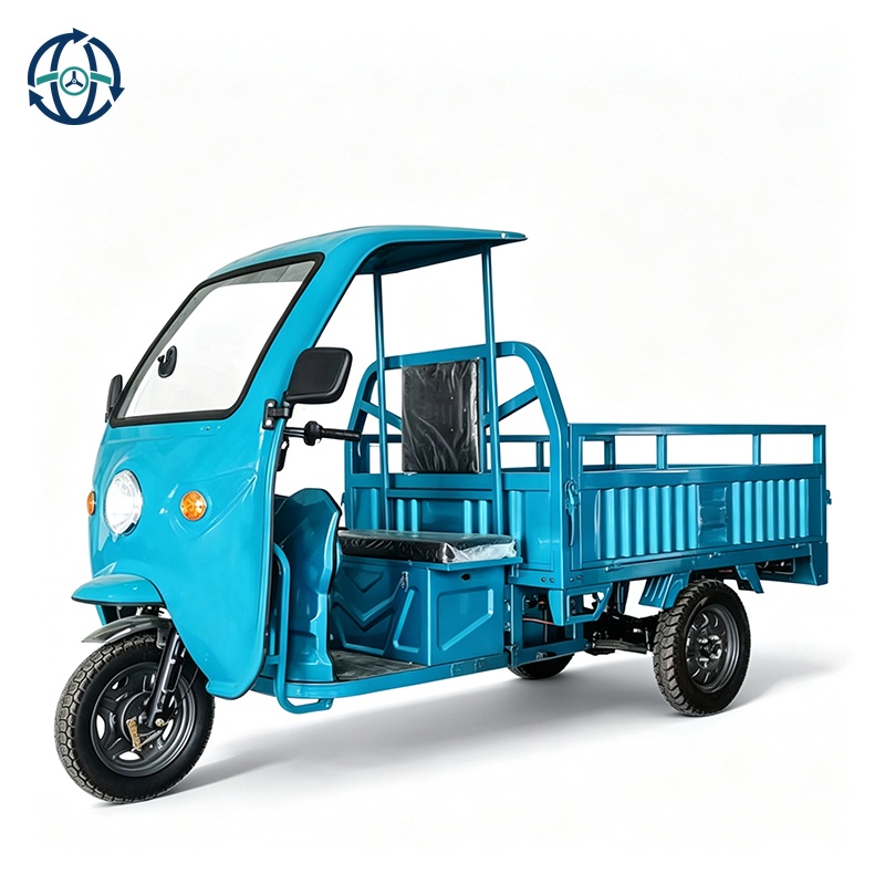 Bulk Purchases Cheap Thickened Cargo Hold 3 Wheel Enclosed 800w Cargo Electric Tricycle