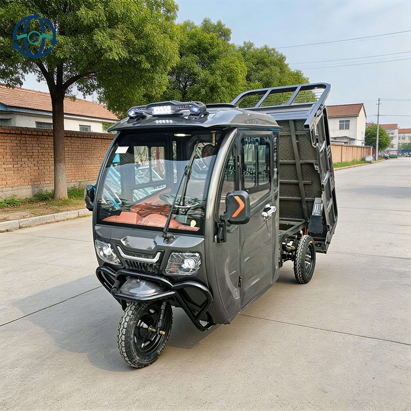 Full Closed Cabin Electric Cargo Tricycle 3 Wheels Rainproof Driver Cabin Farm LogisticsElectric Three Wheeler