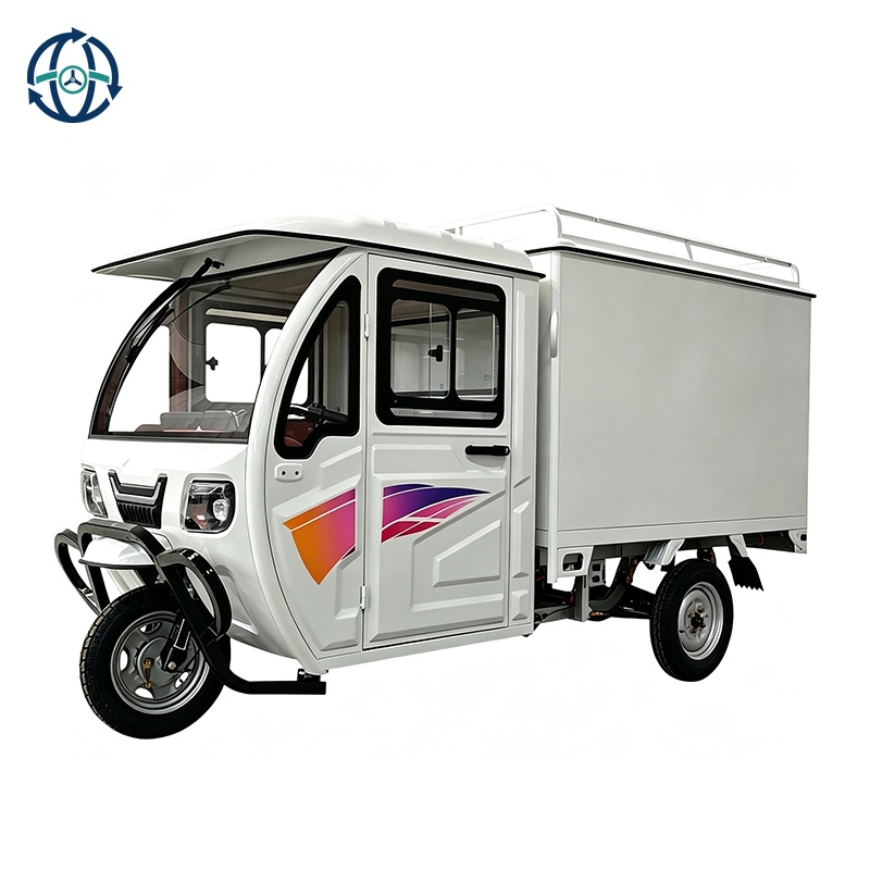 800W Low Speed Closed Box Electric Tricycle Short-Distance Delivery Vehicle for CourierServices