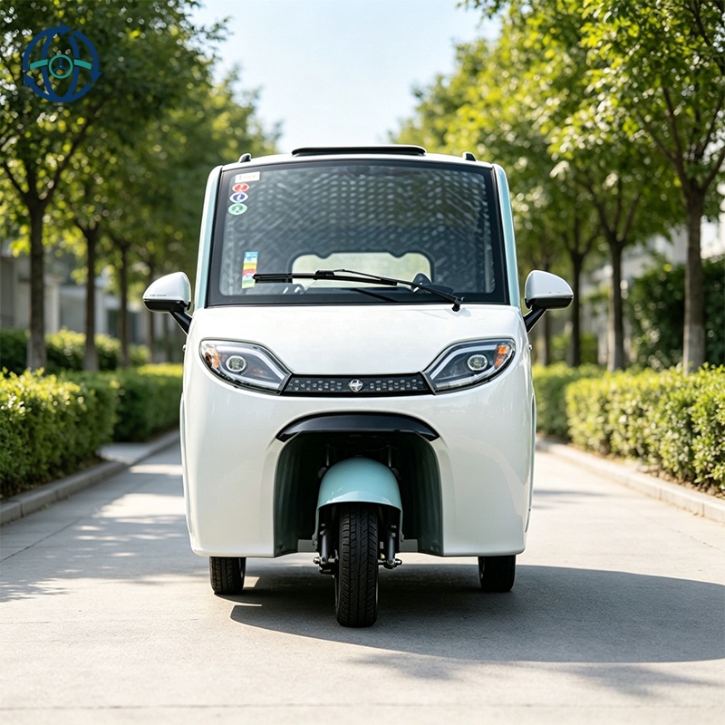 Wholesale Price Three Wheels Trike New Energy Vehicle Electric Tricycle Enclosed Passenger Electric Tricycle