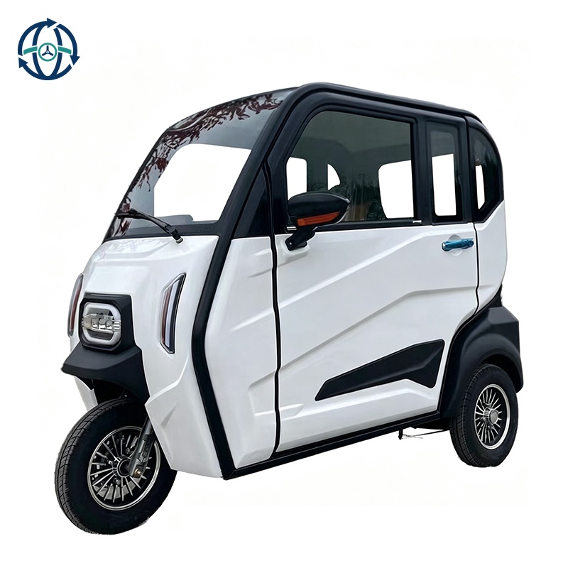 Customized Color 3 Wheel Electric Car 1000w Enclosed 3 Wheel Electric Tricycle