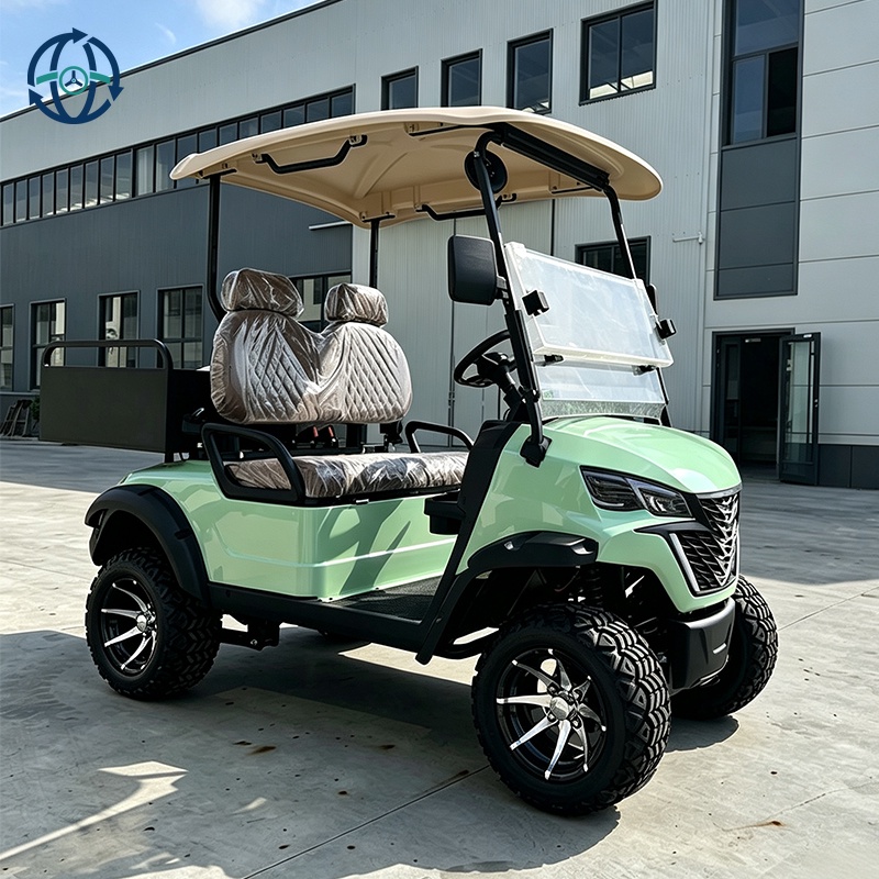 Cheap Price Electric Mini Golf Cart Club Car Long Range Buggy Hunting Vehicle Off-Road Fast 2 Seater Metal Lithium Battery 4KW