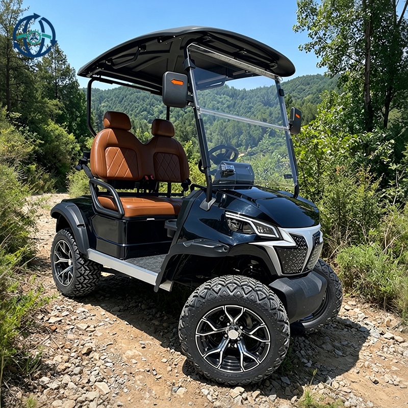 Cheap Price Electric Mini Golf Cart Club Car Long Range Buggy Hunting Vehicle Off-Road Fast 2 Seater Metal Lithium Battery 4KW