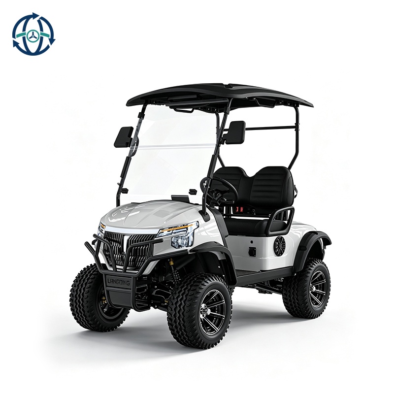 Cheap Price Electric Mini Golf Cart Club Car Long Range Buggy Hunting Vehicle Off-Road Fast 2 Seater Metal Lithium Battery 4KW