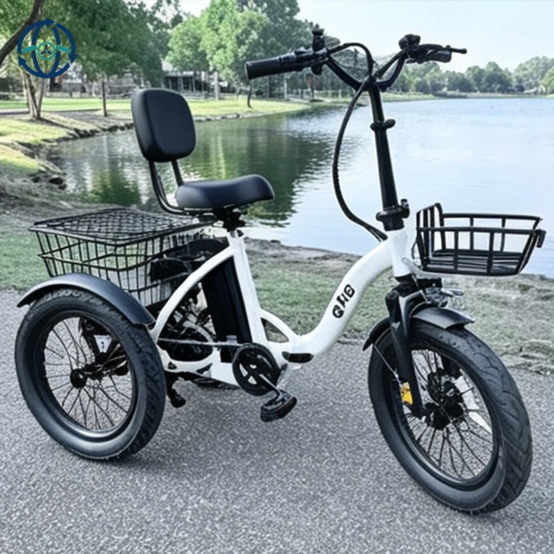 Hot Sale High Quality 24inch Big Cargo Tricycle Electric 3 Wheels Bike Tricycle Trike for Cargo Delivery