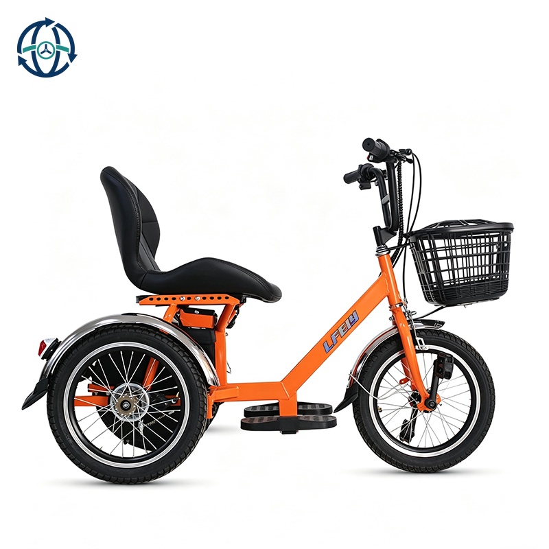 Factory Wholesale 48v 3-Wheel Electric Scooter Open Type ElectricTricycle for Adult Home Transport and Cargo Ebike Trike