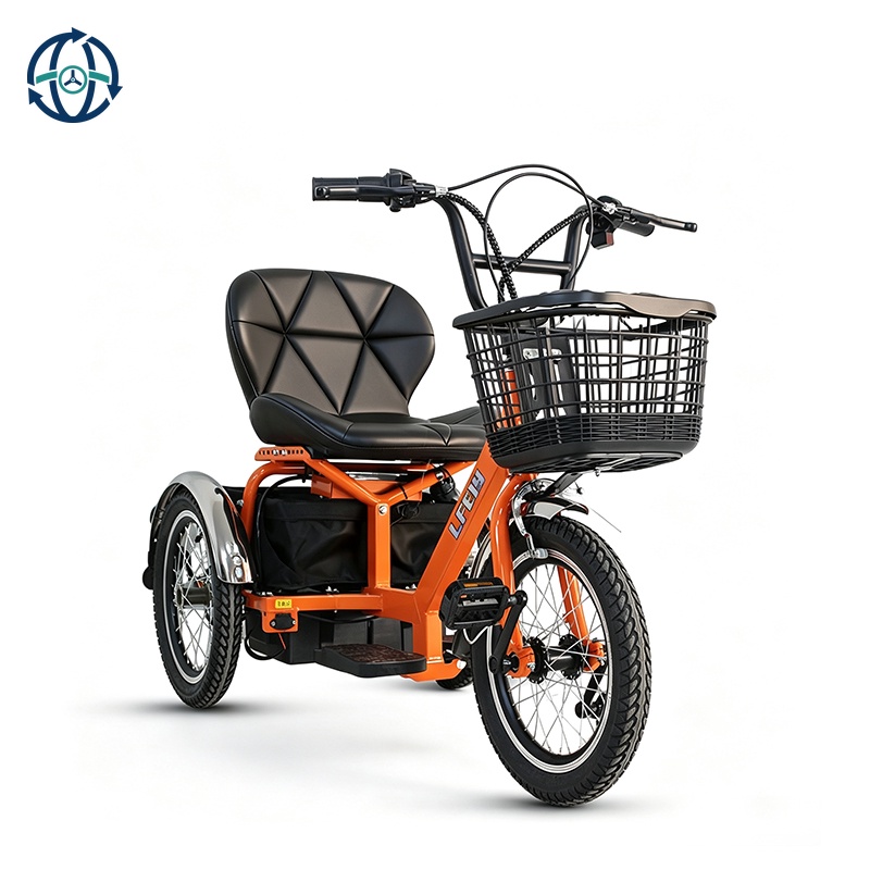 Electric City Bike 3-Wheel Tricycle for Adults 16-Inch New Customize Steel Frame Lead-acid Battery Electric Scooter