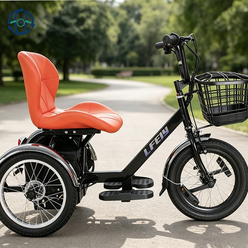 Electric City Bike 3-Wheel Tricycle for Adults 16-Inch New Customize Steel Frame Lead-acid Battery Electric Scooter