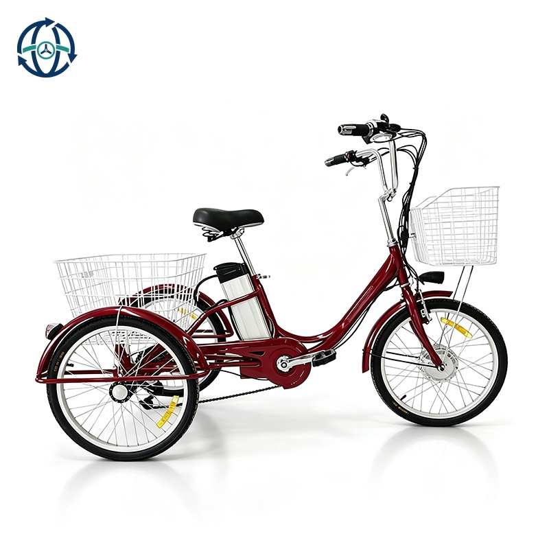 Hot Sale High Quality 24inch Big Cargo Tricycle Electric 3 Wheels Bike Tricycle Trike for Cargo Delivery