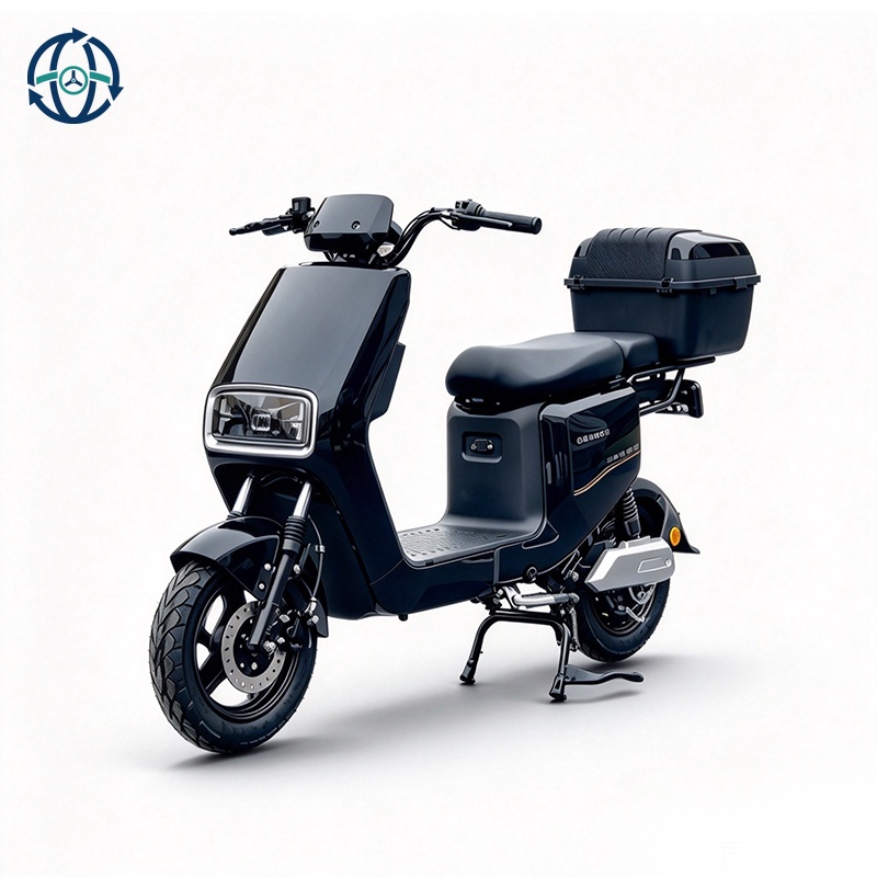 DOT 72V 1000W Motor Power Electric Motorcycle Adult Size Fat Tire Electric Bike Without Battery Option