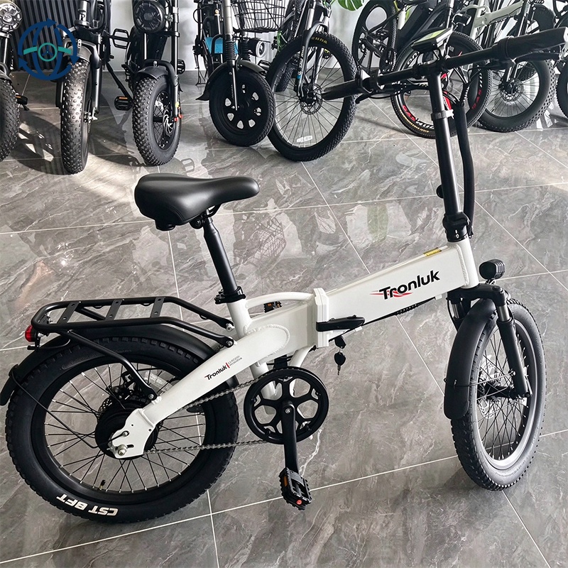 20 Inch 36V 500D 10.4AH Lithium-ion Battery Electric Ebike Bicycle FatTire E Bike