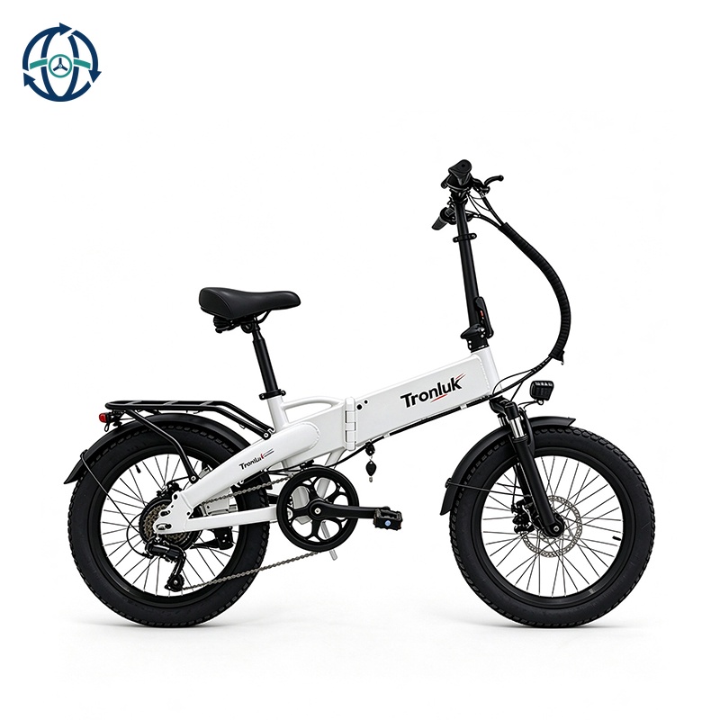 20-Inch Folding E-Bike Rear Carrier Lithium Battery 35OW 7 SpeedSuperAluminum Alloy Front Suspension for Mountain Flat Roads
