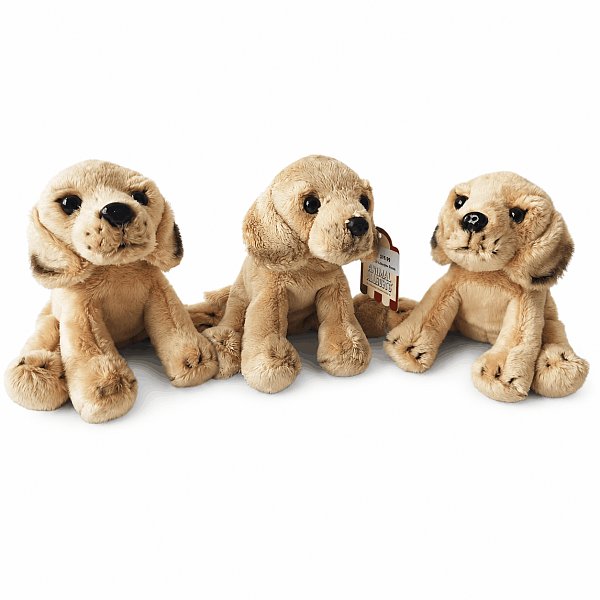 Dog Toy Meerkat Plush Set
