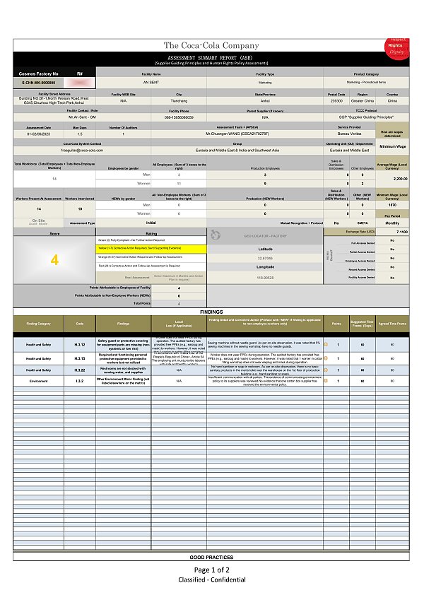 Coca Cola Report